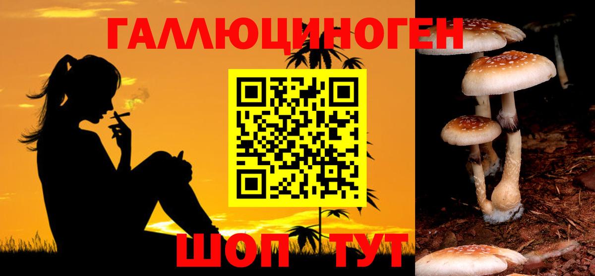 Псилоцибиновые грибы Psilocybe Анапа